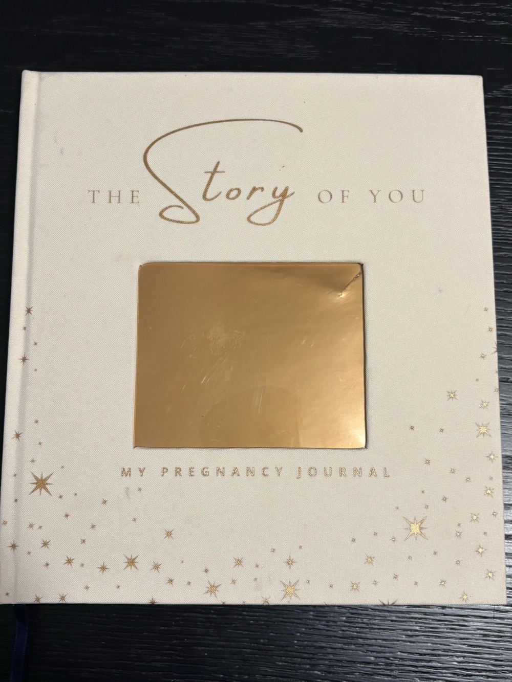 My Pregnancy Hardcover Journal